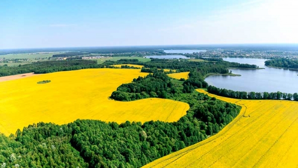 Рэспубліканскі конкурс  відэаролікаў аб Беларусі на англійскай мове  «To love it, you should see it…» («Каб палюбіць, трэба ўбачыць…»)  пройдзе на філалагічным факультэце БДУ (12.09‒12.10.2023)