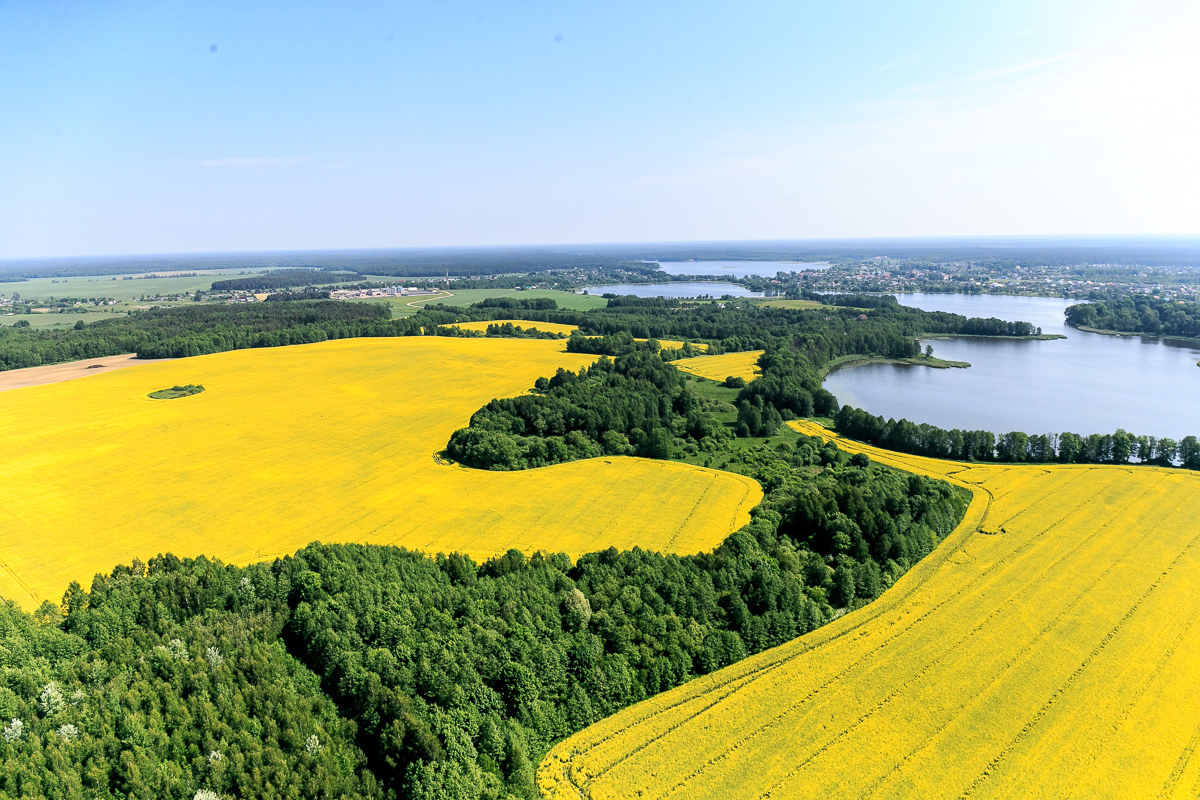 Рэспубліканскі конкурс  відэаролікаў аб Беларусі на англійскай мове  «To love it, you should see it…» («Каб палюбіць, трэба ўбачыць…»)  пройдзе на філалагічным факультэце БДУ (12.09‒15.10.2025)