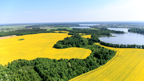 Рэспубліканскі конкурс  відэаролікаў аб Беларусі на англійскай мове  «To love it, you should see it…» («Каб палюбіць, трэба ўбачыць…»)  пройдзе на філалагічным факультэце БДУ (12.09‒15.10.2025)