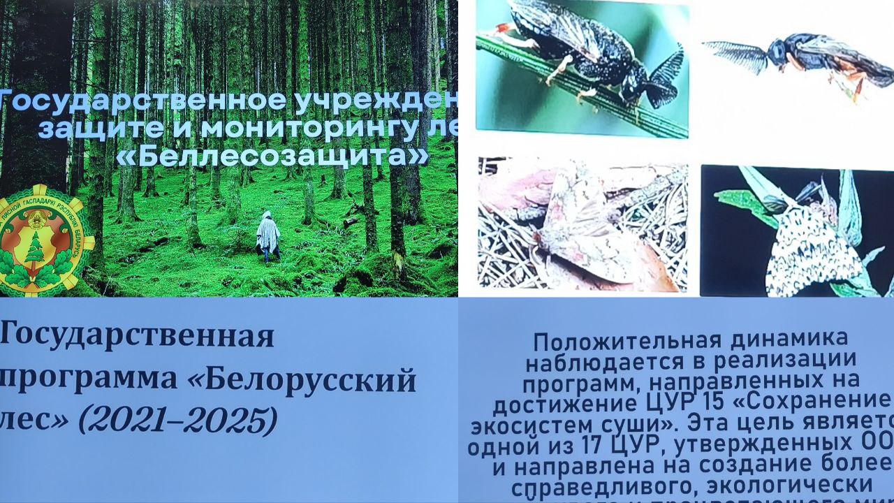 ph2711202512823874.jpg